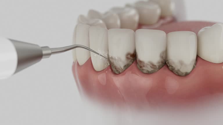 Reliable Emergency Dentist contractor in Scott County County, VA by Dentist Open Now